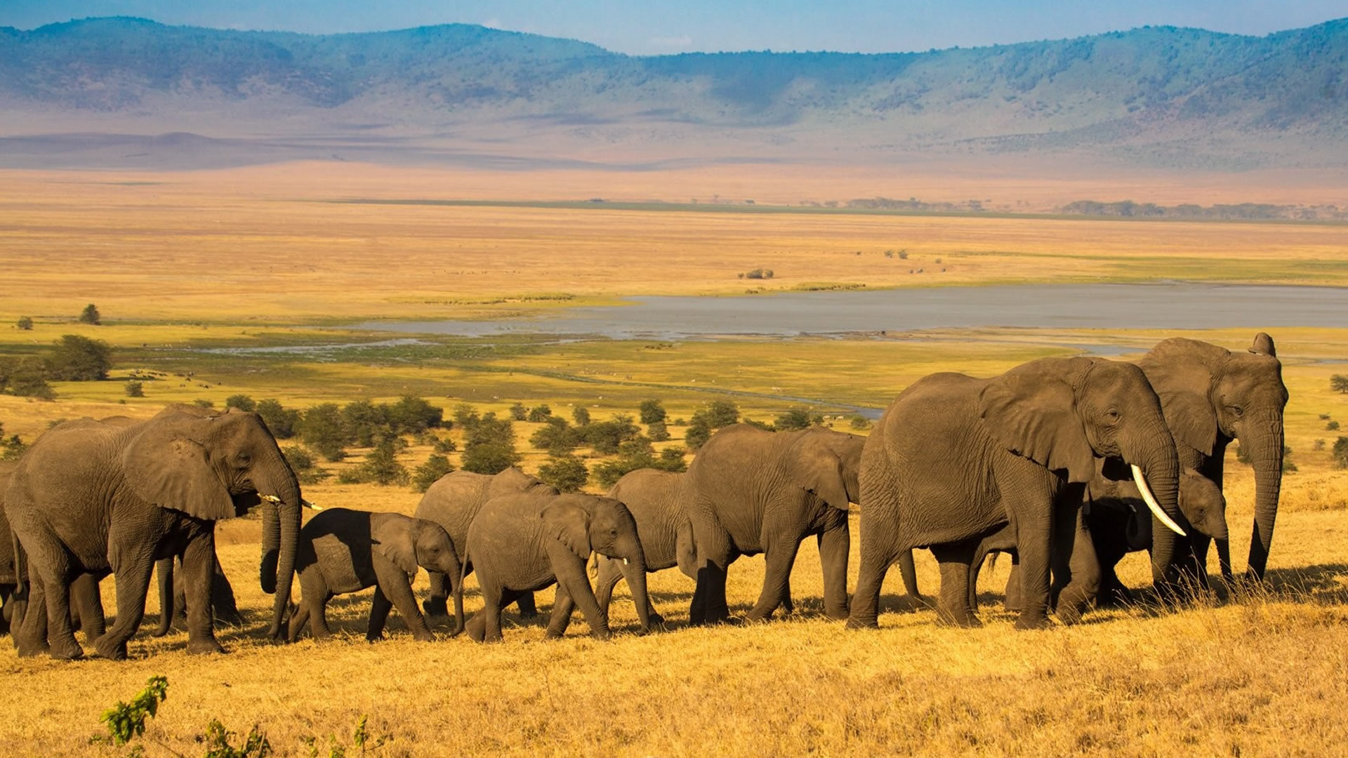 ngorongoro crater